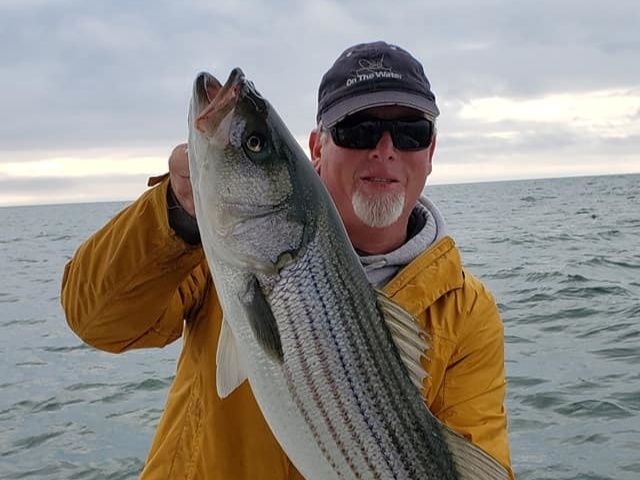 Fish-Species