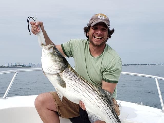 Fish-Species