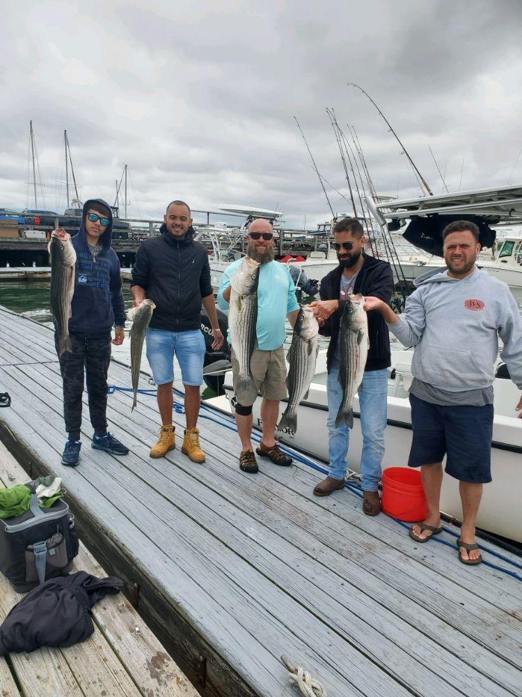 Fish-Species