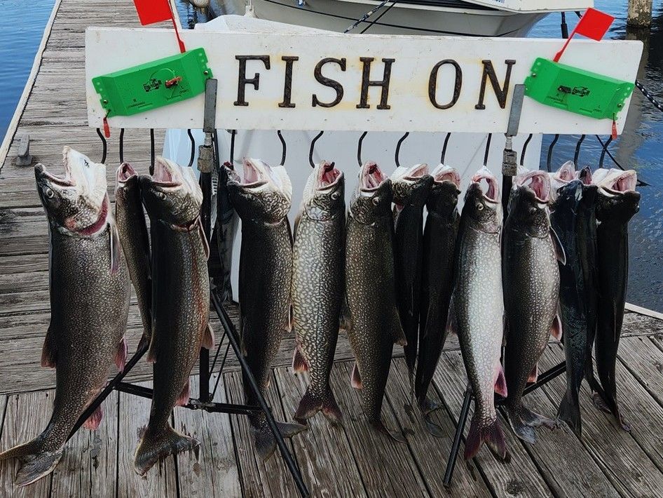 Salmon Trout Half Day Lake Trip Portage FISH ON