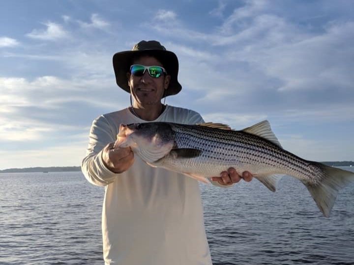 Huge Striped Bass, Lake Murray Fishing