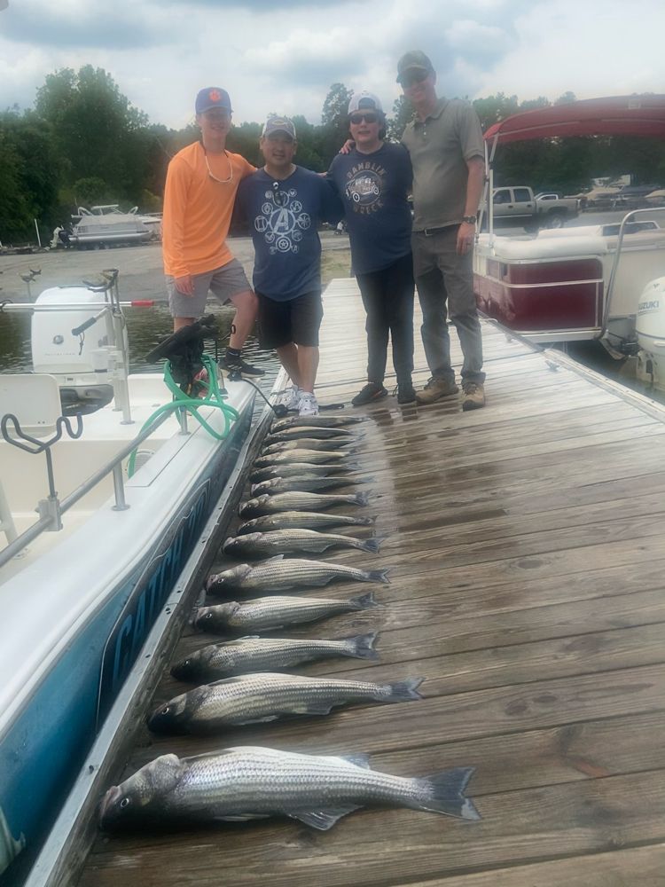 Striped Bass out of Lake Murray