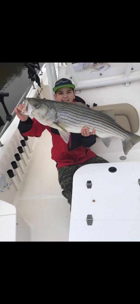 Large Stripers From South Carolina