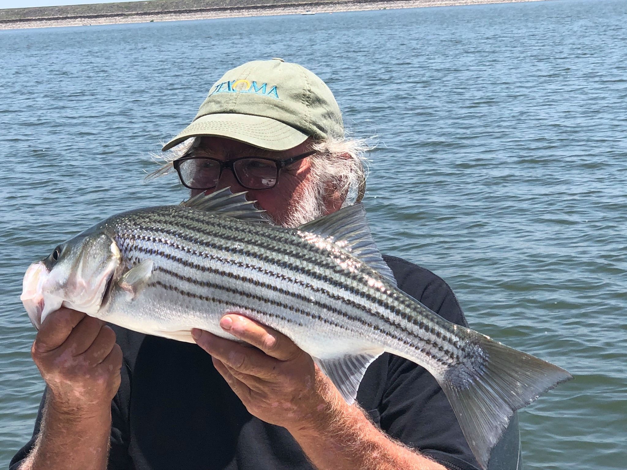Striped Bass on Lake Texoma