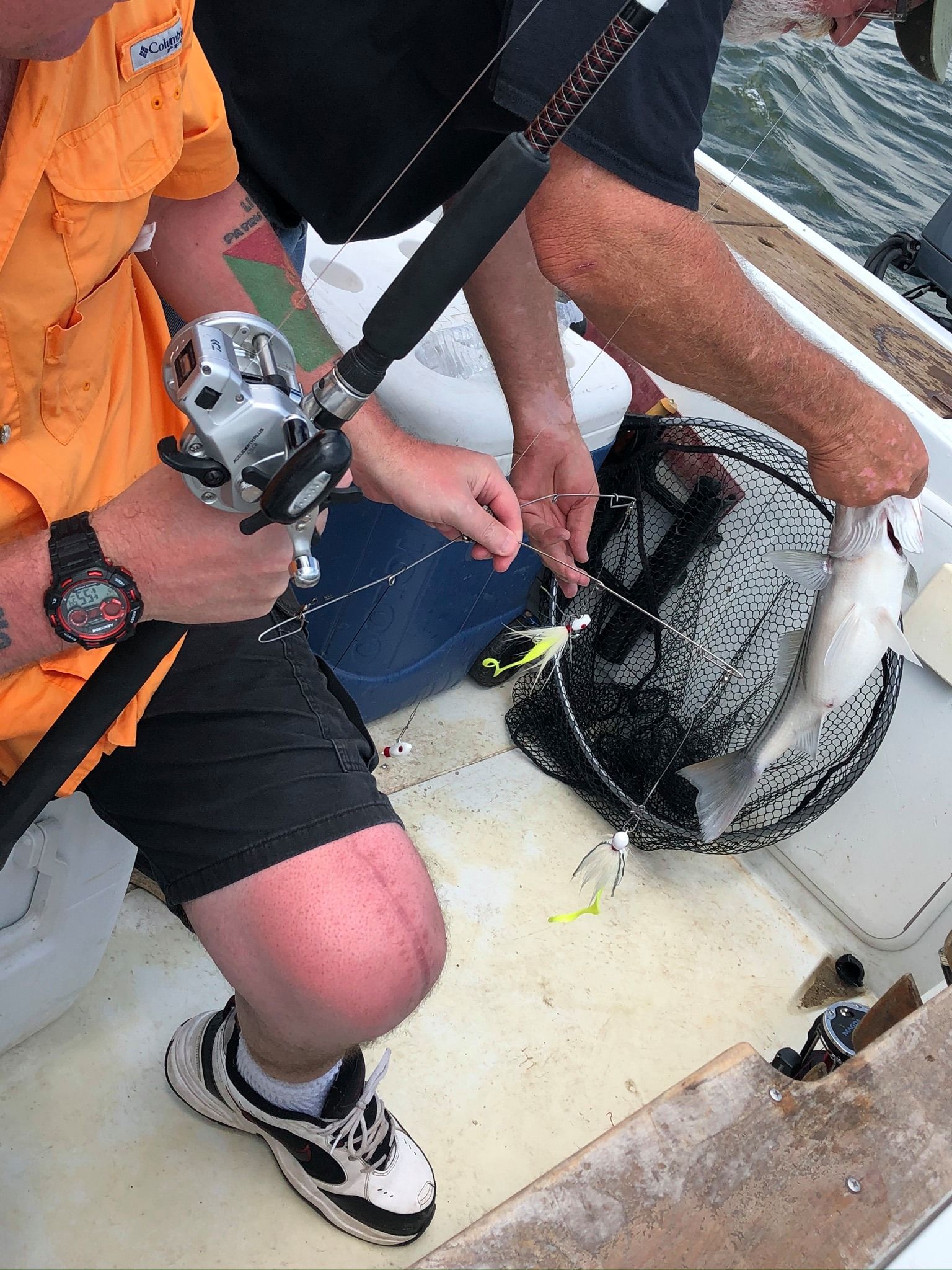 Action shots of a nice striper