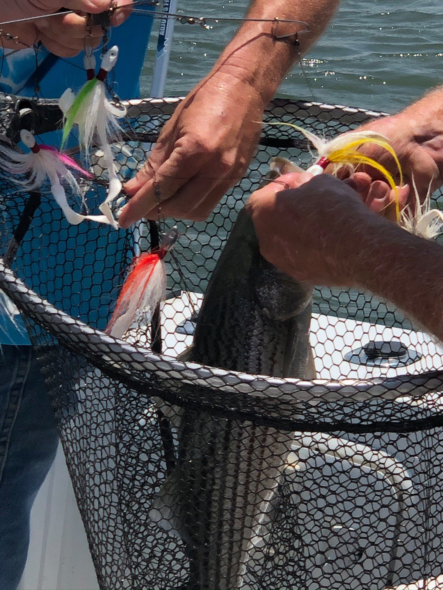 Get the net!