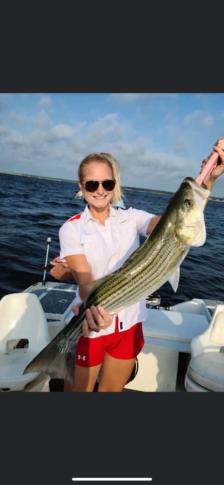 Bug Striped Bass on Lake Texoma