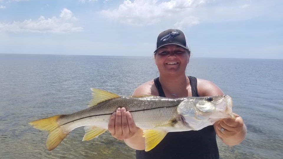 Snook Fish from Florida
