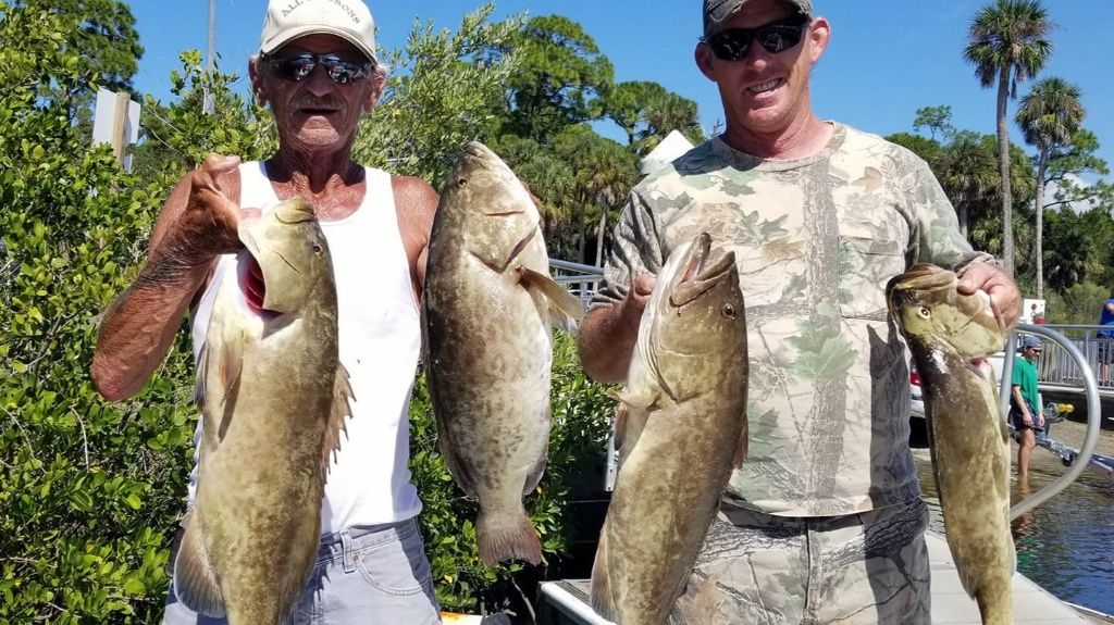 Gag Grouper Caught in FL 2022