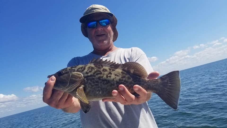 Gag Grouper from Homosassa, FL