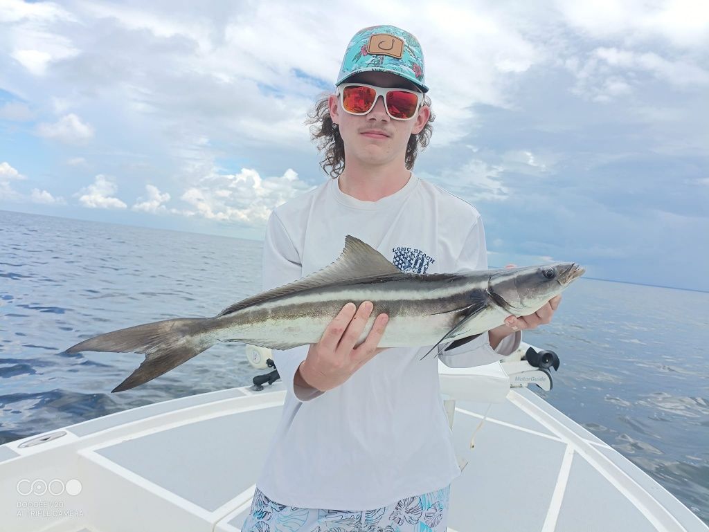 Nice Cobia Fishing in Florida