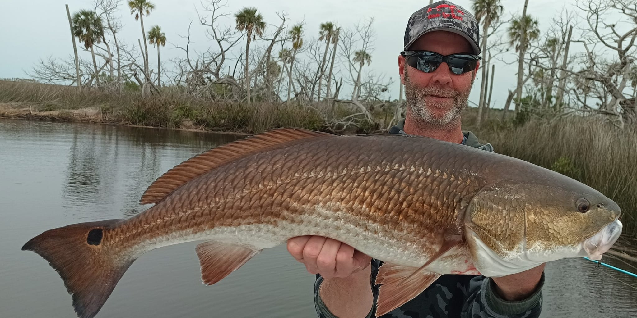 Seize The Bay Fishing Charters Homosassa Fishing Charter | 4 Hour AM Charter fishing Inshore