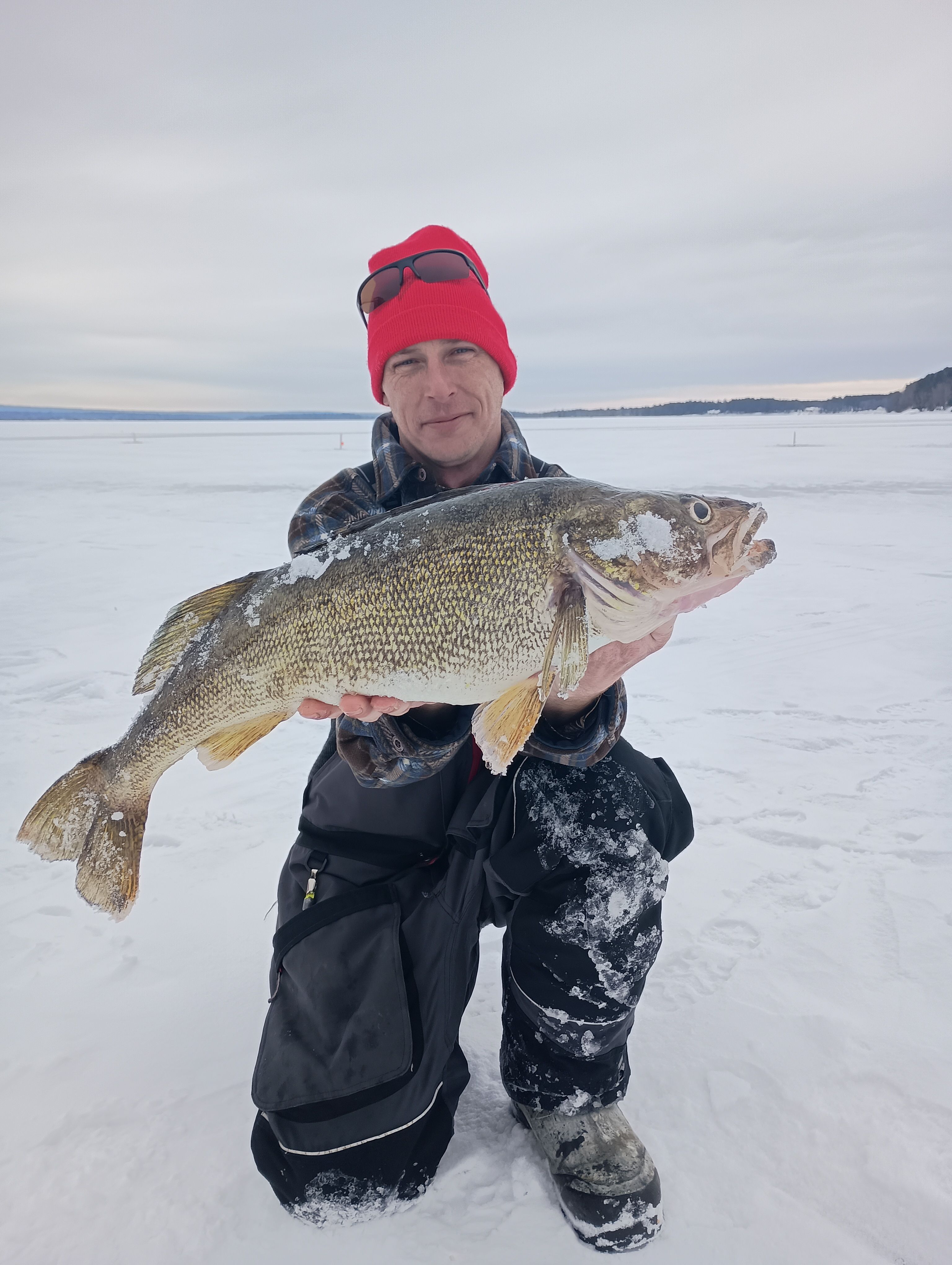 Walleye Trip fishing report coverpicture