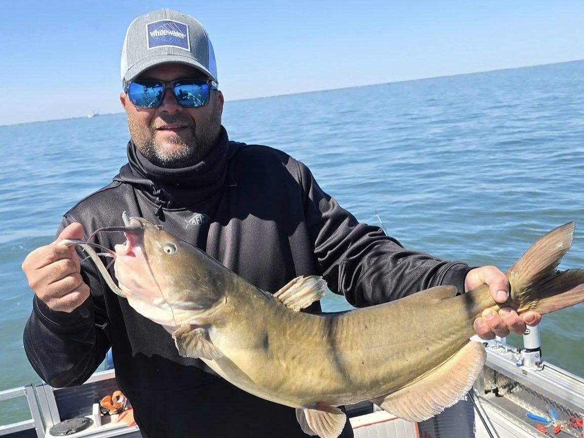 Premium Salmon & Trout Fishing on Michigan Lakes