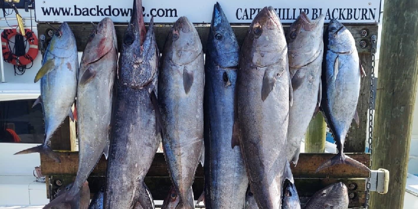 Charter Boat Back Down 2 Destin Florida Fishing Charters fishing Inshore