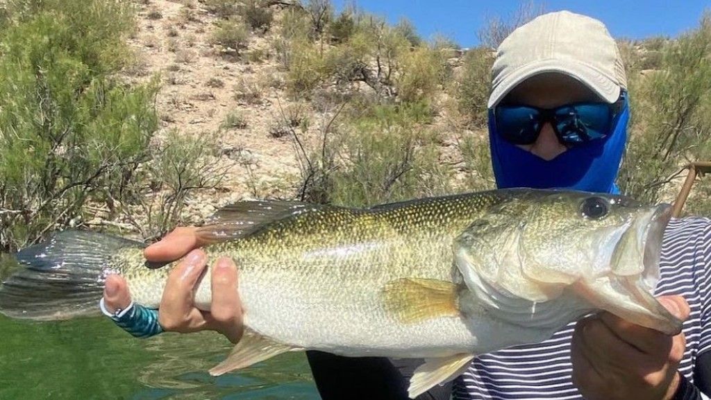 Top Phoenix Bass Fishing Trips
