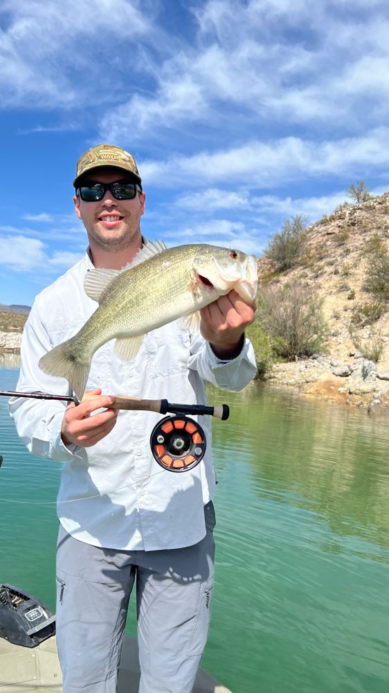 Bass on the fly