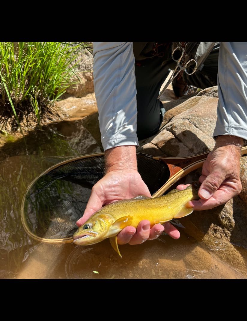 Lo Water Guide Service Remote Wild Trout fishing BackCountry