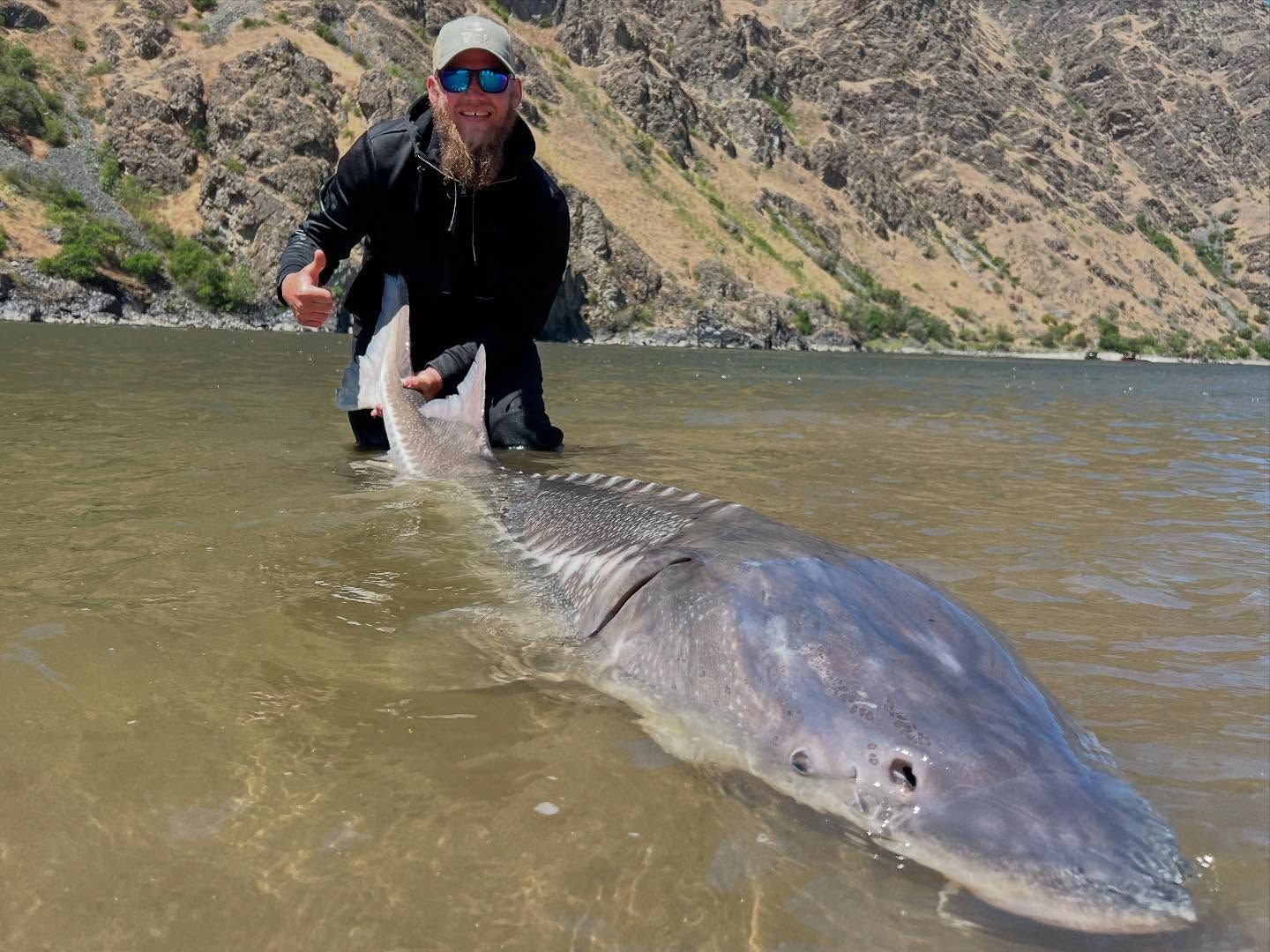 Columbia River Sturgeon Fishing JB's Killer Guide
