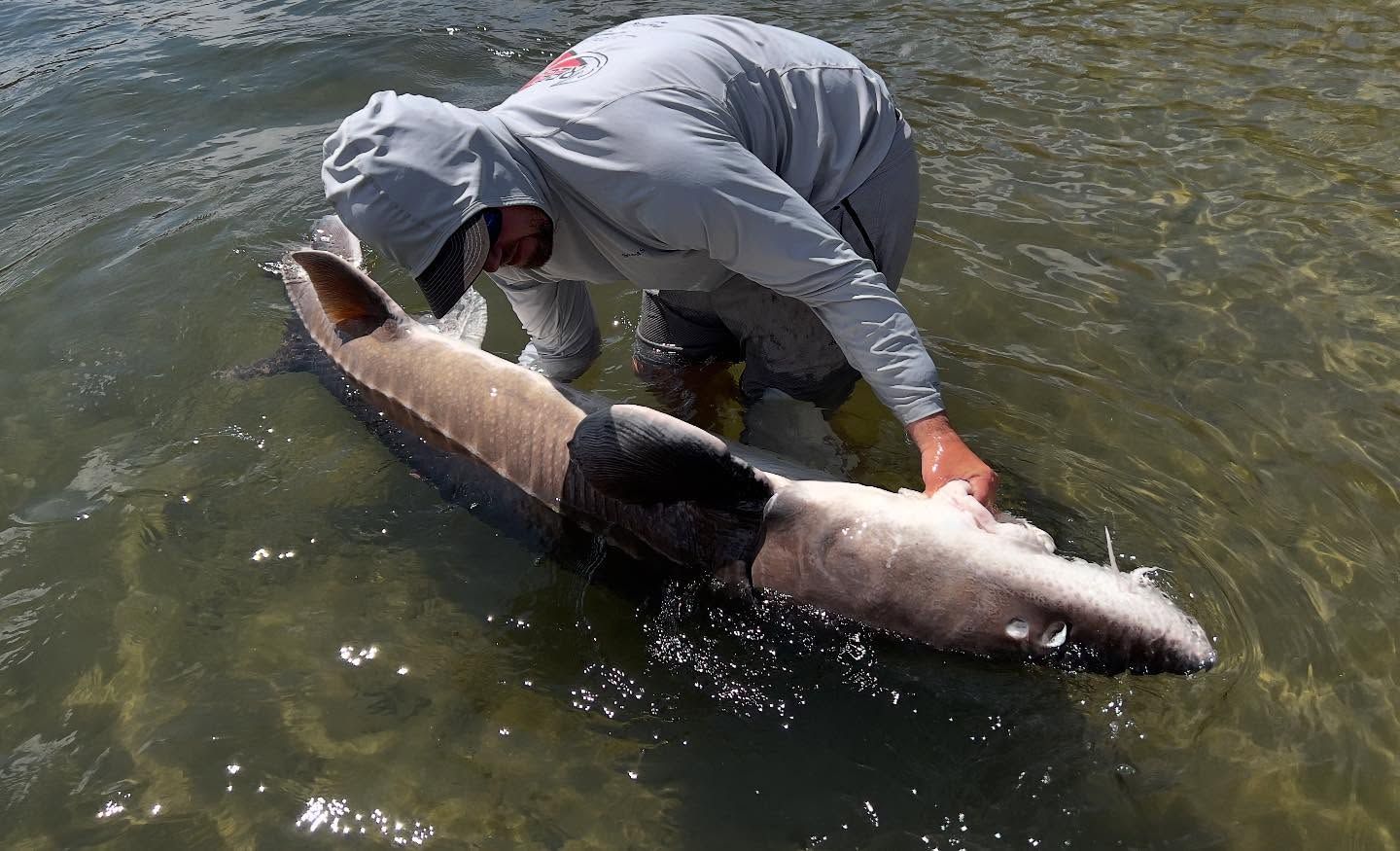 Half Day Sturgeon Charter Columbia River JB's