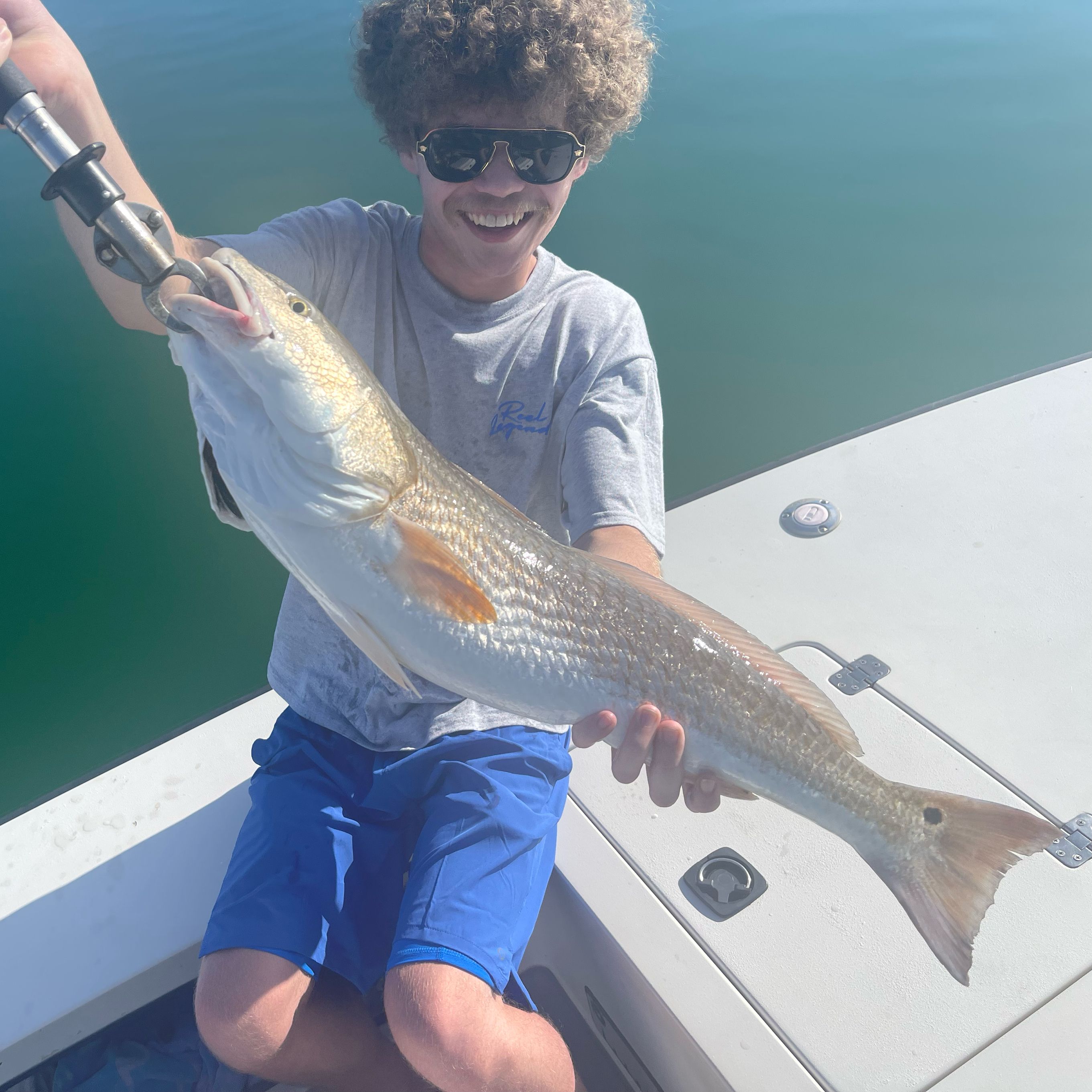 Redfish, Sarasota fishing