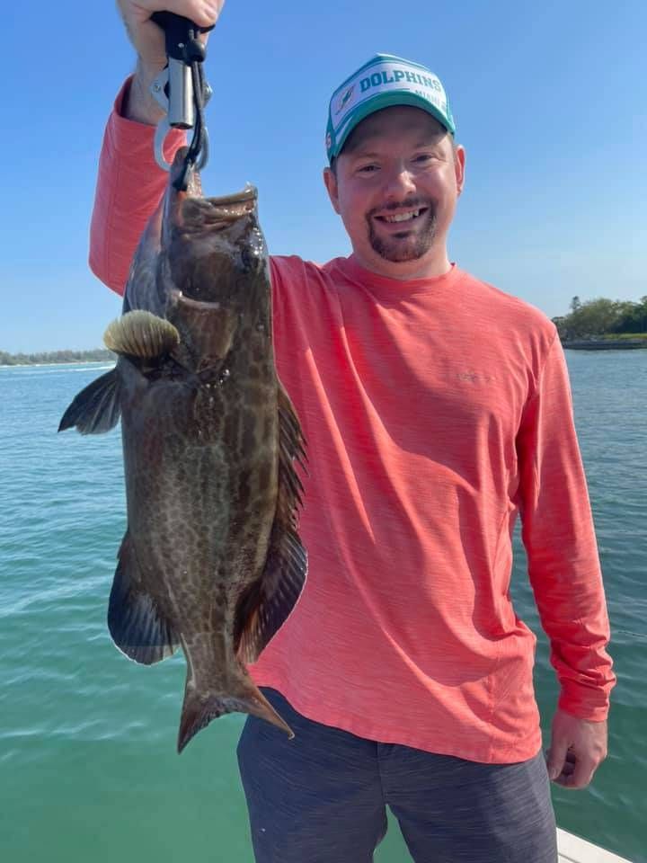 Grouper fishing in Sarasota 22" 