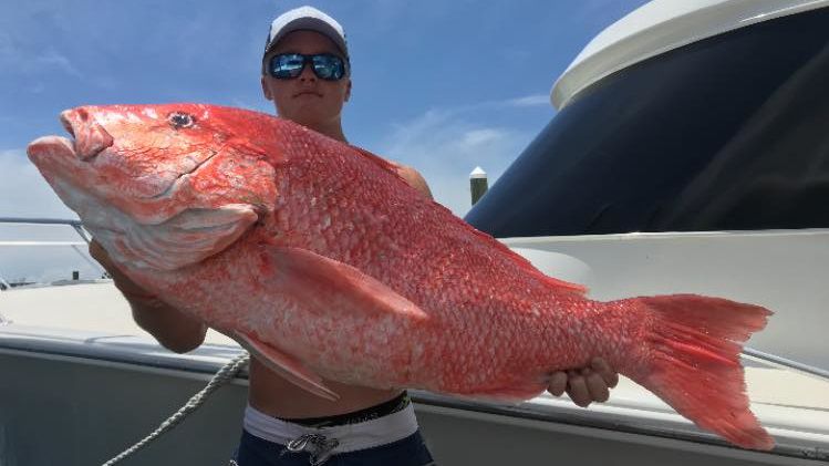 Misa Charters 10 Hours Summer Fishing Trip - Destin, Florida fishing Offshore