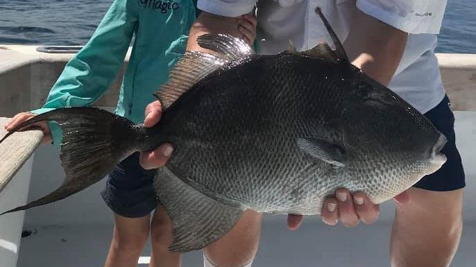 Misa Charters 10 Hour Offshore Fishing Trip - Destin, Florida fishing Offshore