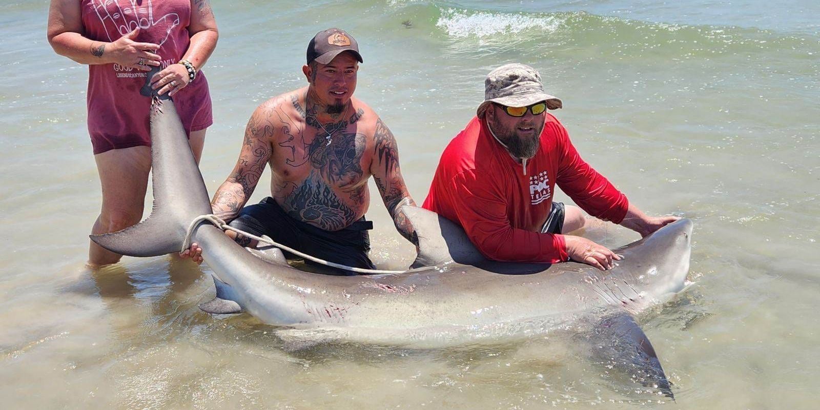 Port Aransas 4HR Inshore Fishing Adventure