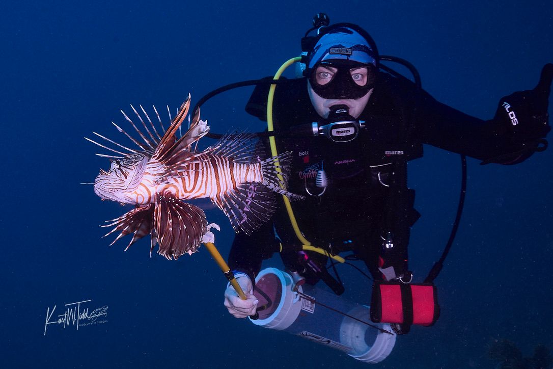 Lionfish Collecting Workshop - Dive with Purpose