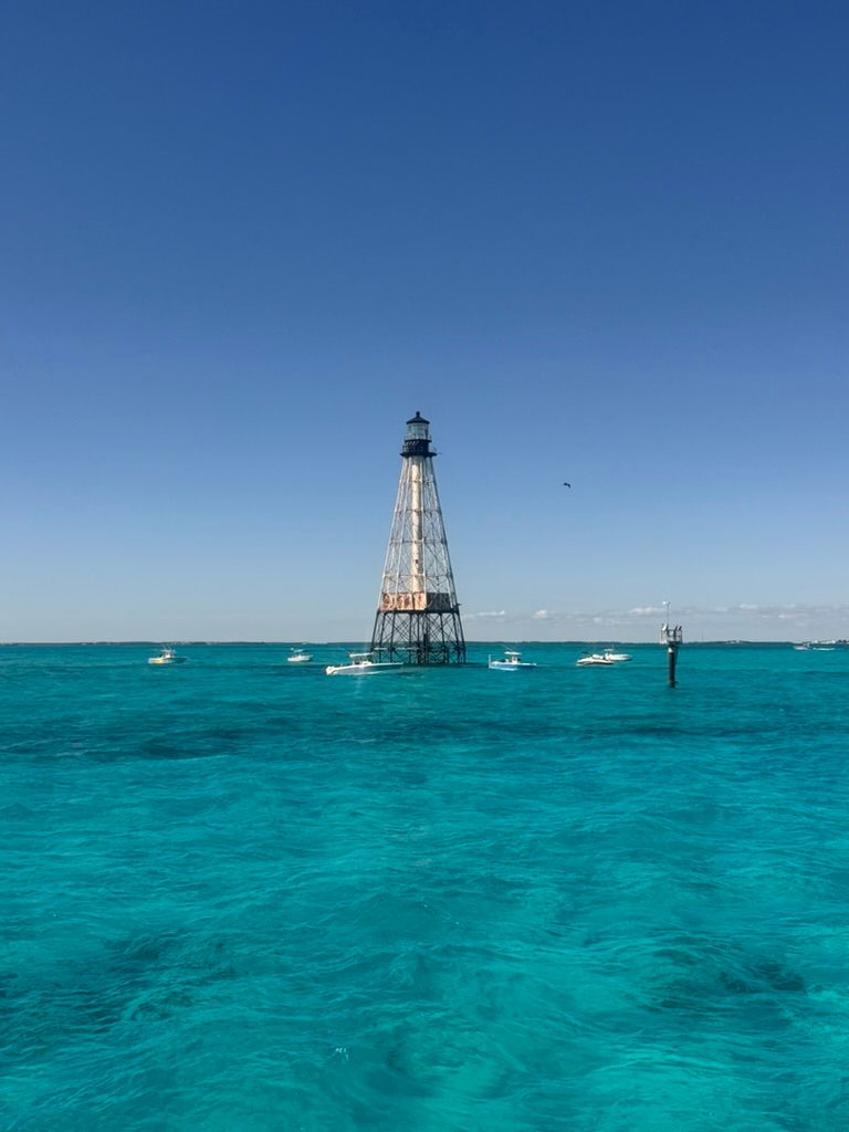 REEFfest Fish ID Dives at Alligator Reef