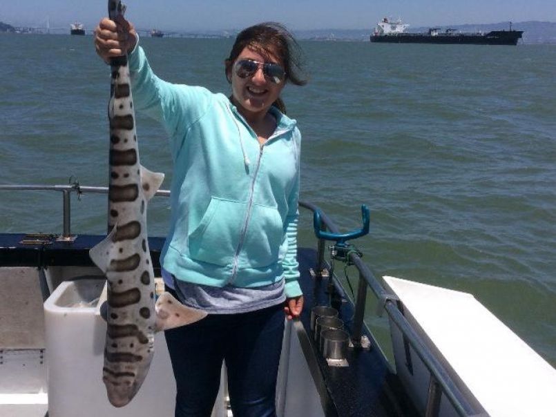 Sole-Man Sportfishing San Francisco Fishing Charters fishing Offshore