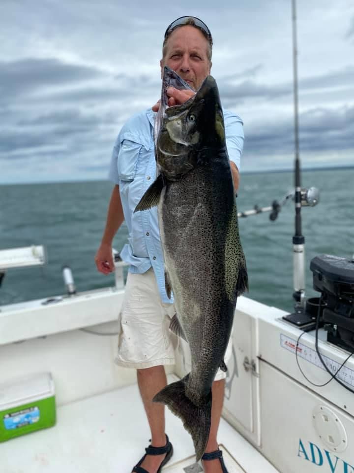 Chinook Salmon in Lake Ontario, NY