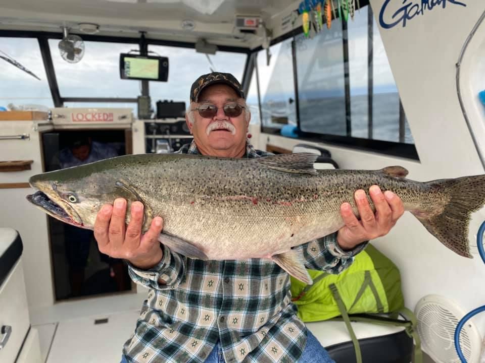 Chinook Salmon in Lake Ontario, NY