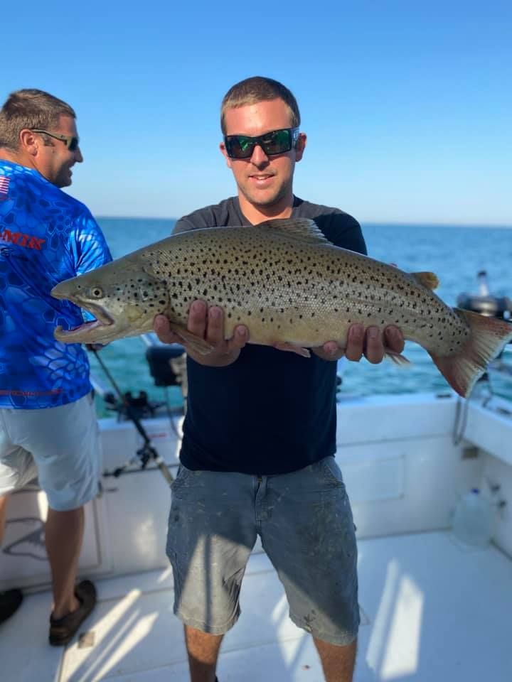 Brown Trout in Lake Ontario, NY