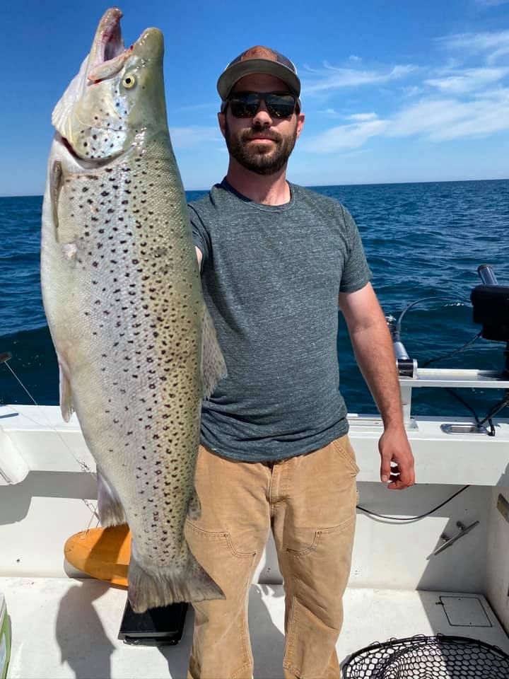 Brown Trout in Lake Ontario, NY