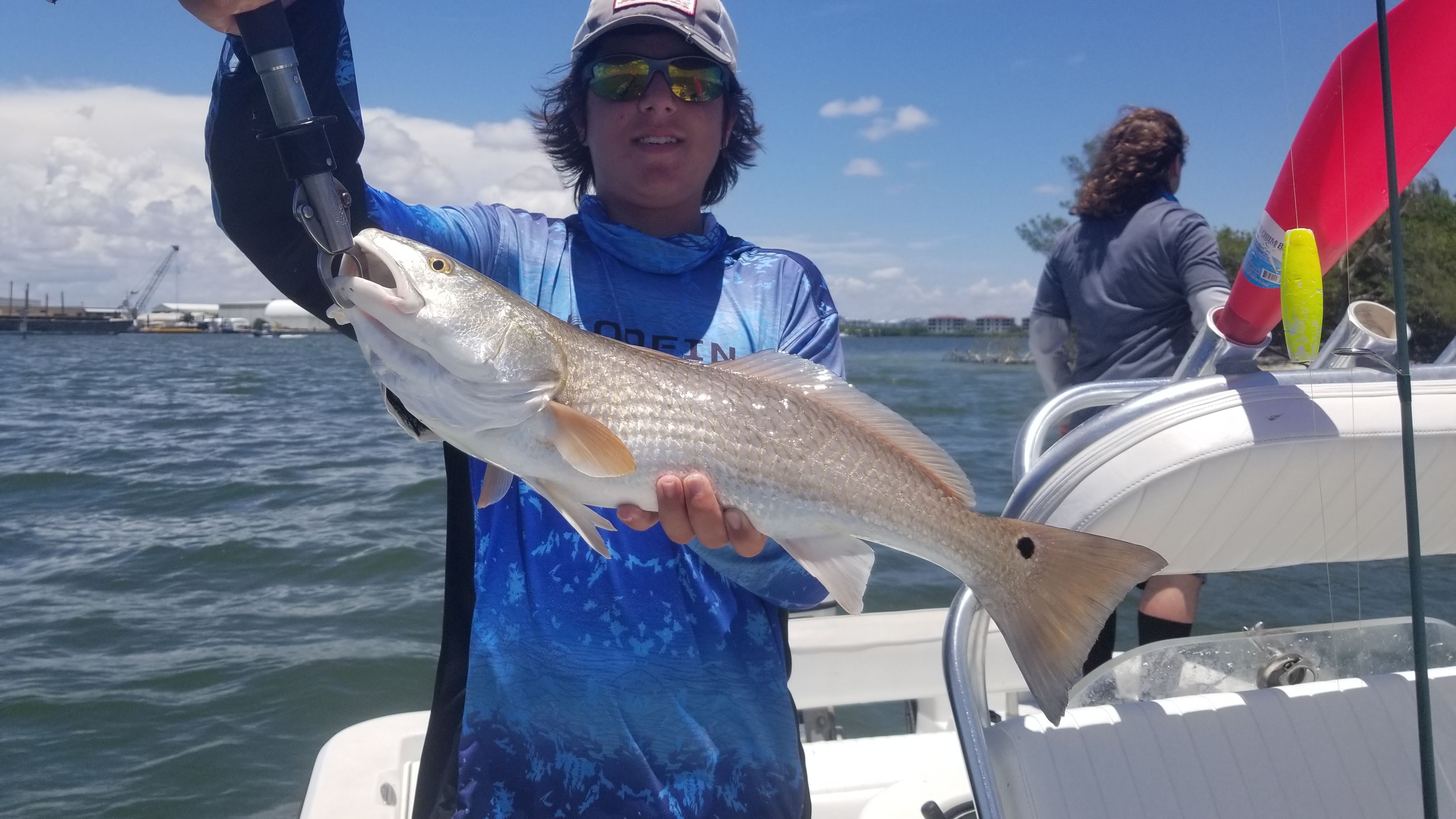 Fish-Species