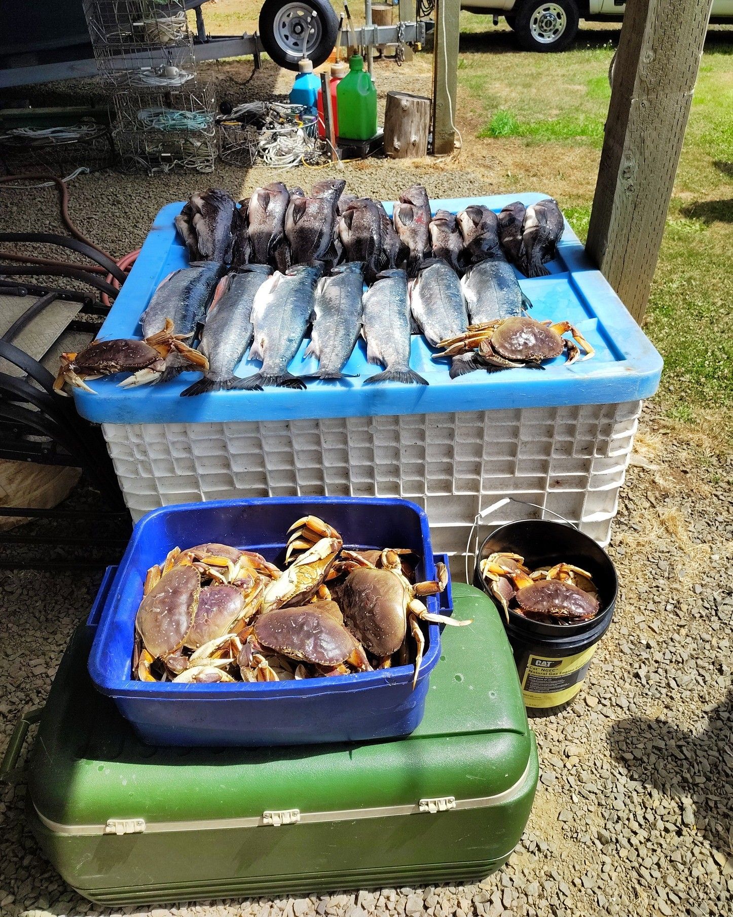 Oregon Coast Inshore Fishing & Crabbing Charter