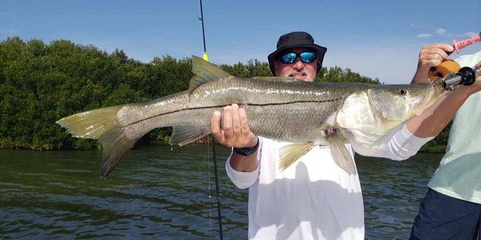 Expert-Guided Florida Inshore Fishing Adventure