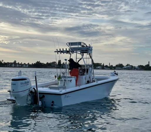 Gulfcart Fishing Charters Sarasota Boat Tours | Eco Tours Along The Beautiful Gulf Coast tours Wildlife