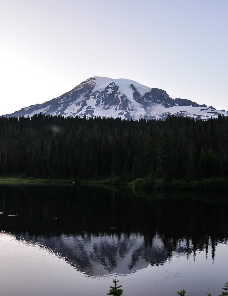 Darrel DeNune Nature Guide Mt Rainier Birds And Mammals tours Wildlife