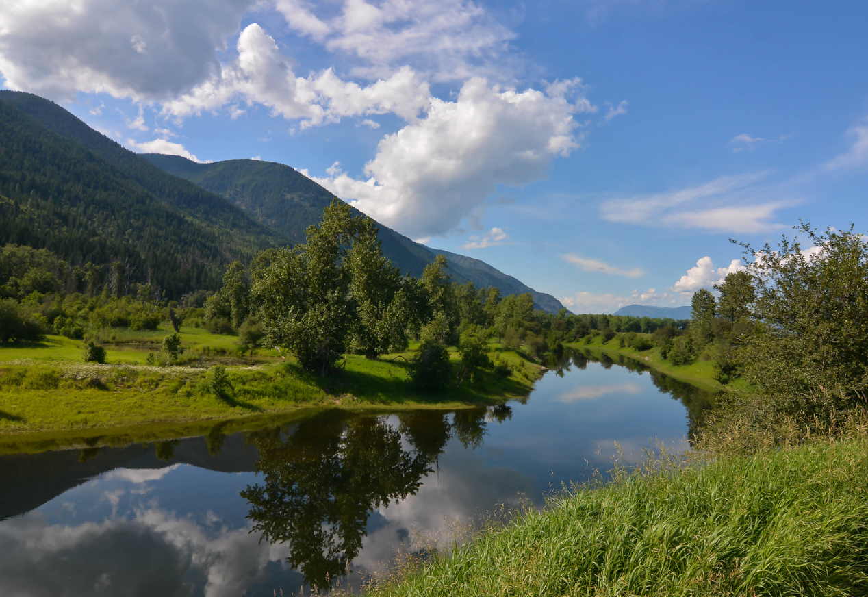 Darrel DeNune Nature Guide BC Fishing Trips | Wildlife Photography and Fishing Trip British Columbia tours Wildlife