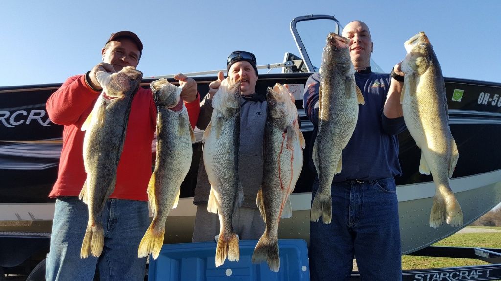 D3 Charters 4-Hour Lake Erie Fishing Trip - Ohio fishing Lake