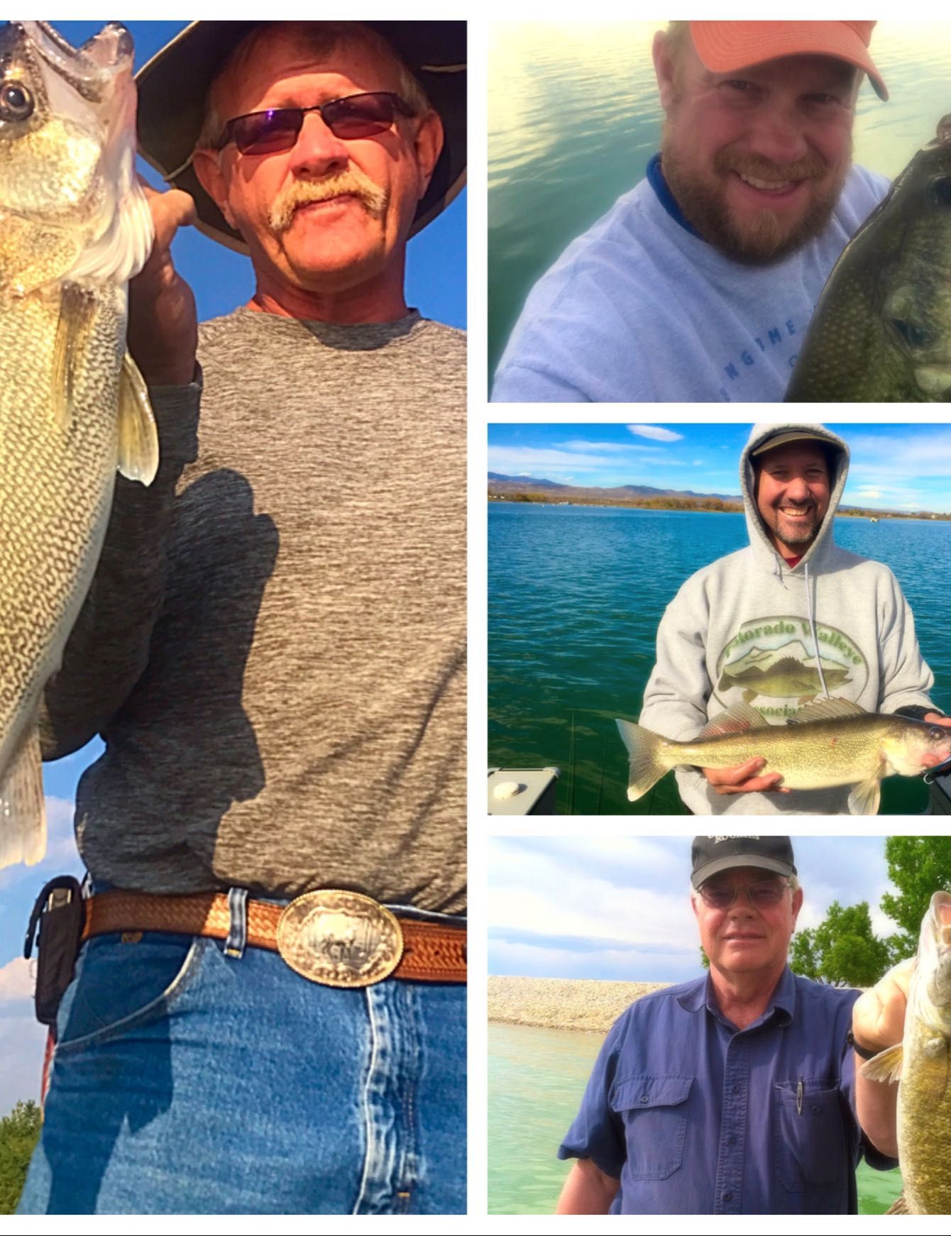 Fish-Species