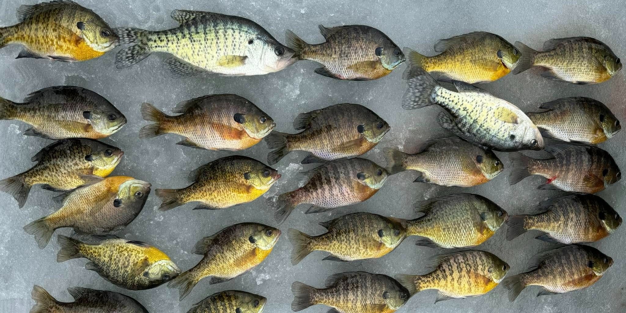 Top-Rated 8-Hour River Fishing in Wisconsin