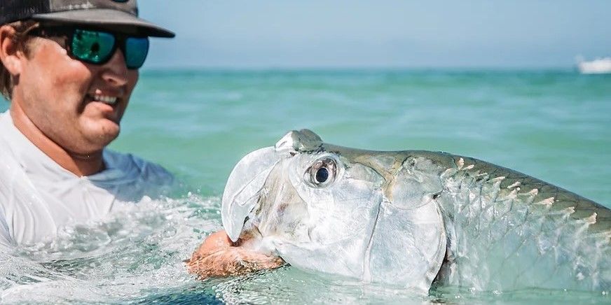 Capt. Evan Denis Charters Florida Tarpon Fishing | 5 To 8 Hour Trip fishing Inshore