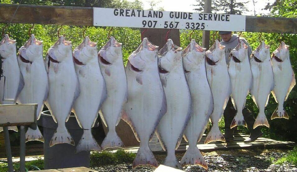 Greatland Guide Service & Lodge Alaska Fishing Charters | 6 Hour Halibut Trip  fishing Offshore