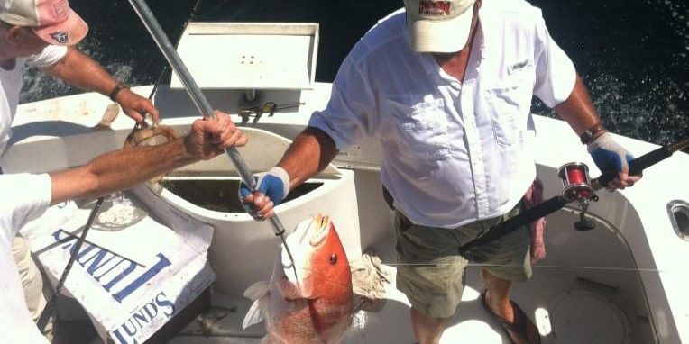 Reeltime Charters Experience an Unforgettable Day on an Inshore Fishing Charter in Apalachicola! fishing Inshore