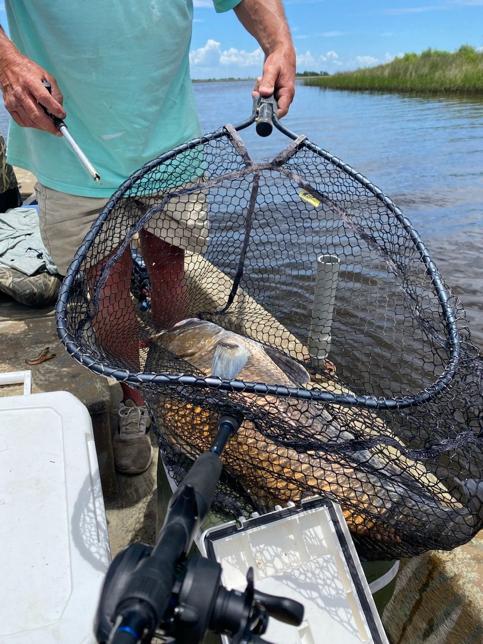Premier Suwannee Inshore Fishing Adventure