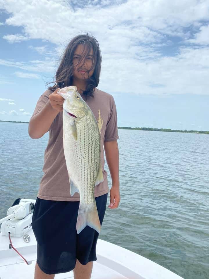 White bass fishing catch